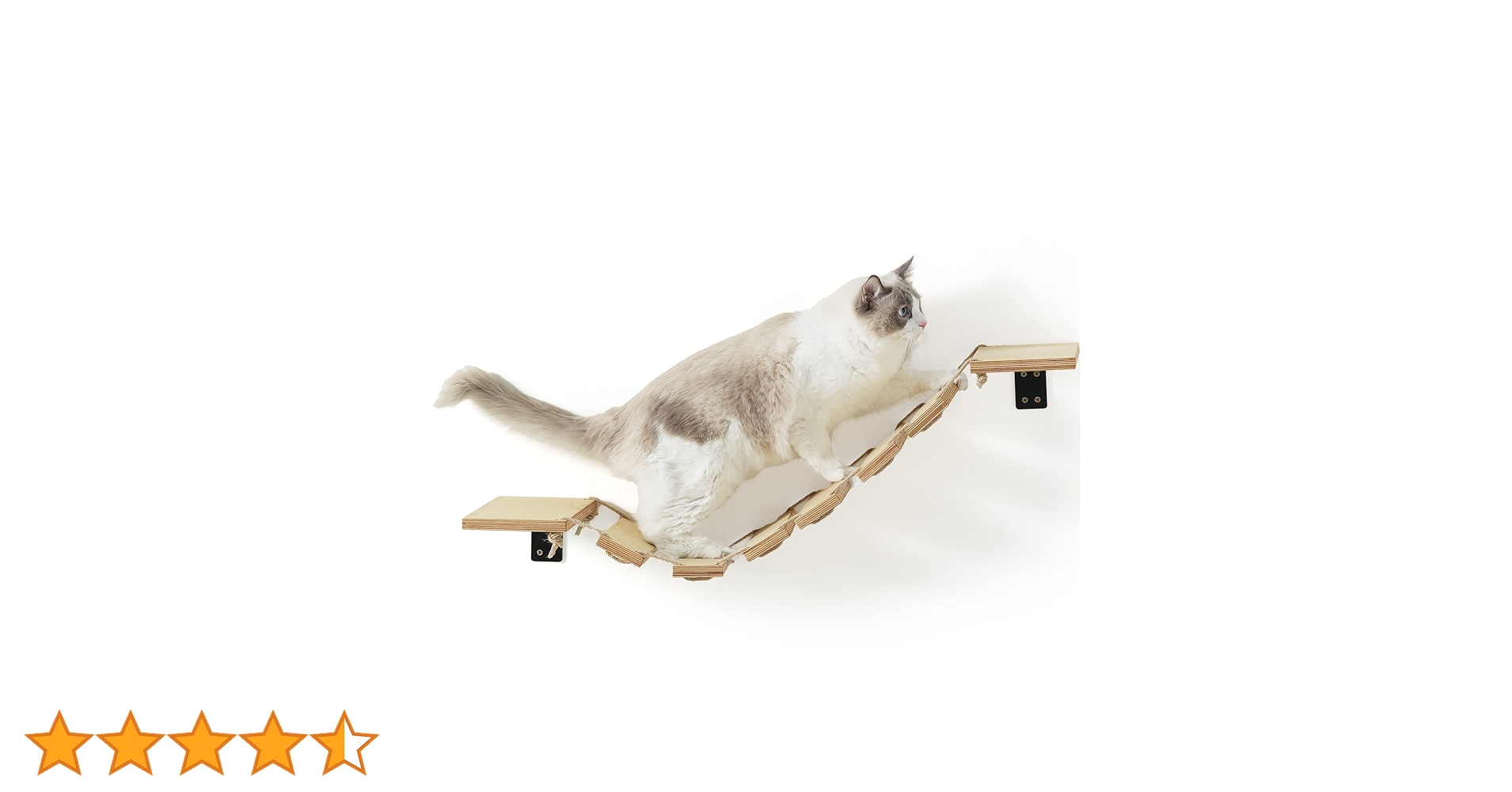 614Z6WN+fJL.jpg_BO30,255,255,